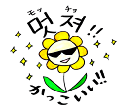Korean-Japanese sunflower "tommy"~basic sticker #12916271