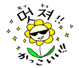 Korean-Japanese sunflower "tommy"~basic sticker #12916271