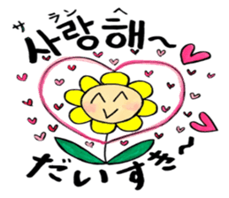Korean-Japanese sunflower "tommy"~basic sticker #12916272
