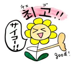 Korean-Japanese sunflower "tommy"~basic sticker #12916273