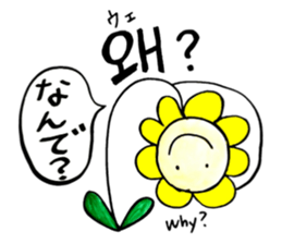 Korean-Japanese sunflower "tommy"~basic sticker #12916275