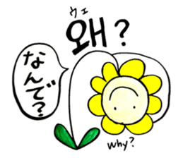 Korean-Japanese sunflower "tommy"~basic sticker #12916275