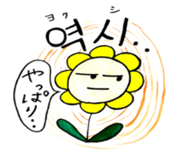 Korean-Japanese sunflower "tommy"~basic sticker #12916276