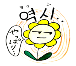 Korean-Japanese sunflower "tommy"~basic sticker #12916276