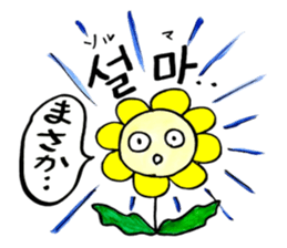 Korean-Japanese sunflower "tommy"~basic sticker #12916281