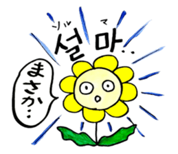 Korean-Japanese sunflower "tommy"~basic sticker #12916281