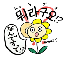 Korean-Japanese sunflower "tommy"~basic sticker #12916282