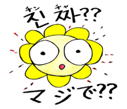 Korean-Japanese sunflower "tommy"~basic sticker #12916283