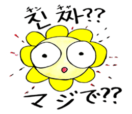 Korean-Japanese sunflower "tommy"~basic sticker #12916283