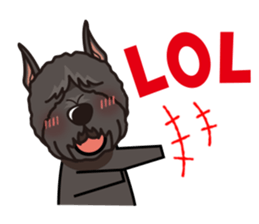 iinu - Bouvier des Flandres sticker #12919689