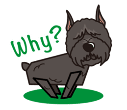 iinu - Bouvier des Flandres sticker #12919690