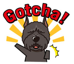 iinu - Bouvier des Flandres sticker #12919691