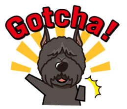 iinu - Bouvier des Flandres sticker #12919691