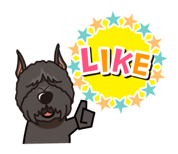 iinu - Bouvier des Flandres sticker #12919695