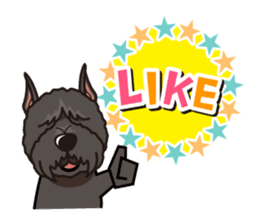 iinu - Bouvier des Flandres sticker #12919695