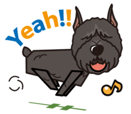 iinu - Bouvier des Flandres sticker #12919696