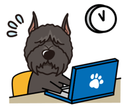 iinu - Bouvier des Flandres sticker #12919698