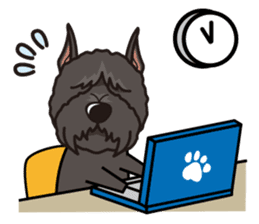 iinu - Bouvier des Flandres sticker #12919698