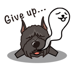 iinu - Bouvier des Flandres sticker #12919700