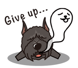 iinu - Bouvier des Flandres sticker #12919700