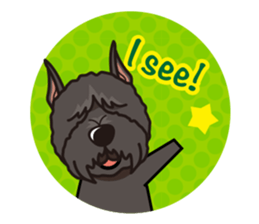 iinu - Bouvier des Flandres sticker #12919701