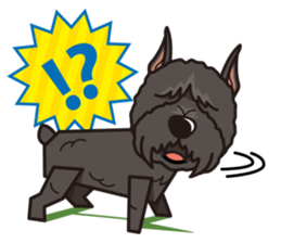 iinu - Bouvier des Flandres sticker #12919702