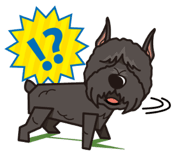 iinu - Bouvier des Flandres sticker #12919702