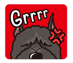 iinu - Bouvier des Flandres sticker #12919704