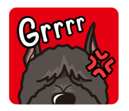 iinu - Bouvier des Flandres sticker #12919704