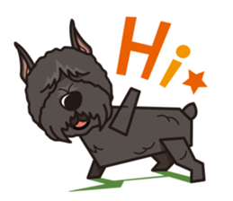 iinu - Bouvier des Flandres sticker #12919710