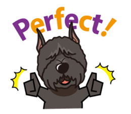 iinu - Bouvier des Flandres sticker #12919712
