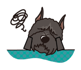 iinu - Bouvier des Flandres sticker #12919715