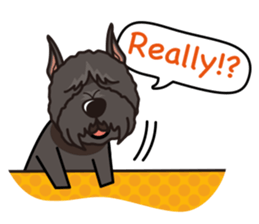 iinu - Bouvier des Flandres sticker #12919716