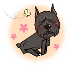 iinu - Bouvier des Flandres sticker #12919718