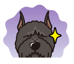 iinu - Bouvier des Flandres sticker #12919719