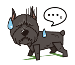 iinu - Bouvier des Flandres sticker #12919720