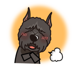 iinu - Bouvier des Flandres sticker #12919721