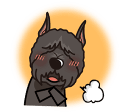 iinu - Bouvier des Flandres sticker #12919721