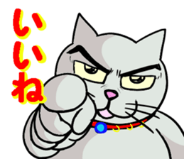 Cool cat 1 sticker #12921178