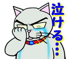 Cool cat 1 sticker #12921187