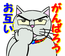 Cool cat 1 sticker #12921200