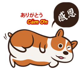 Corgi NANA Multilingual sticker #12923527