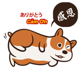 Corgi NANA Multilingual sticker #12923527