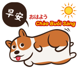 Corgi NANA Multilingual sticker #12923528