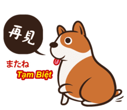 Corgi NANA Multilingual sticker #12923529