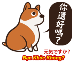 Corgi NANA Multilingual sticker #12923530