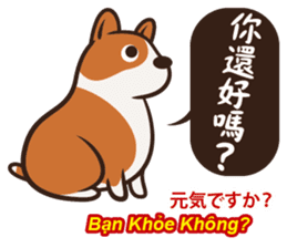 Corgi NANA Multilingual sticker #12923530