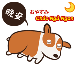 Corgi NANA Multilingual sticker #12923532