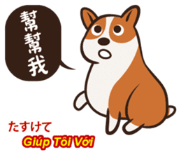 Corgi NANA Multilingual sticker #12923535