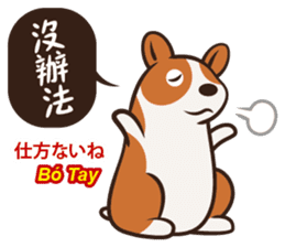 Corgi NANA Multilingual sticker #12923536
